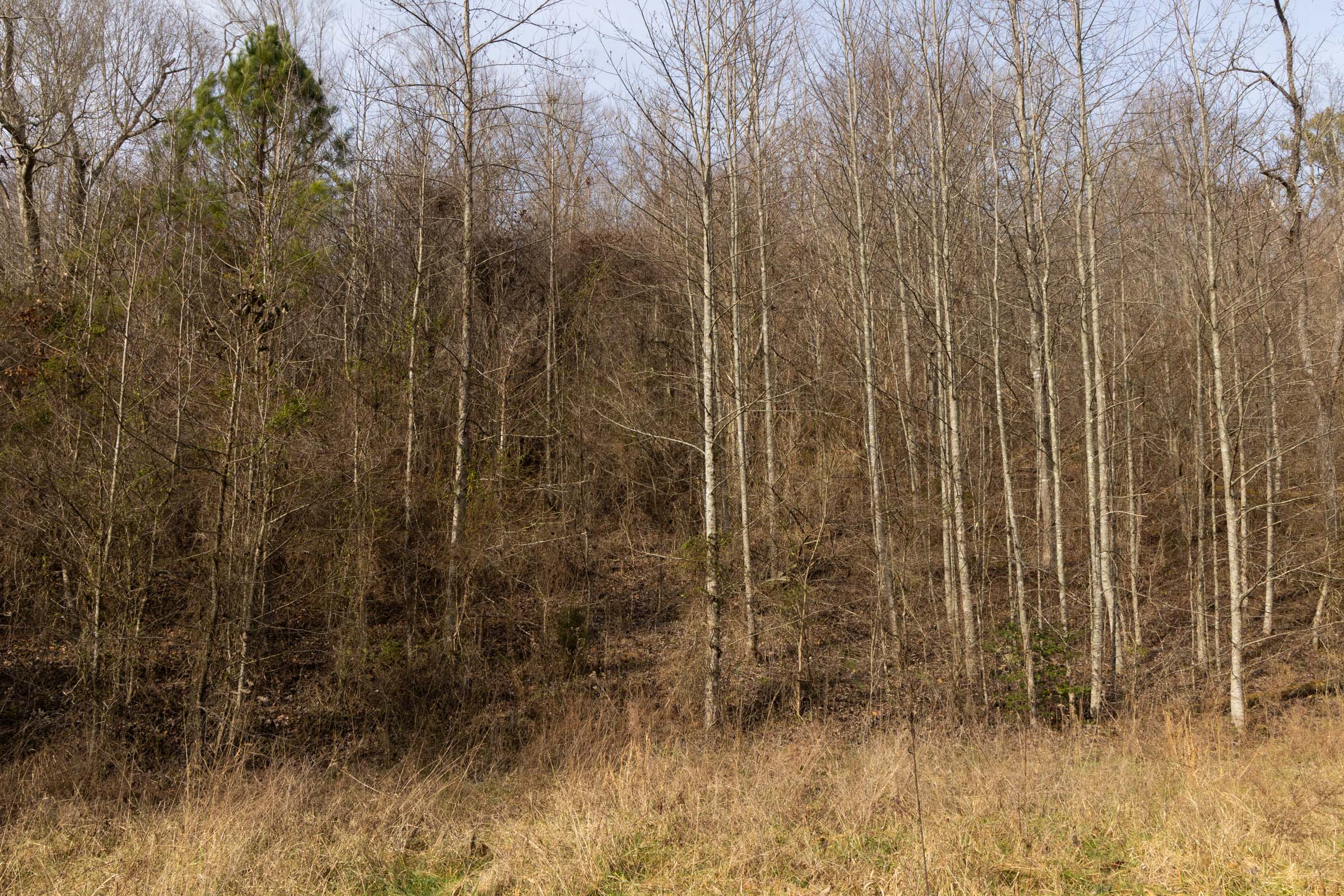 Tract 1 at Jade Pass in Whitley County, Kentucky