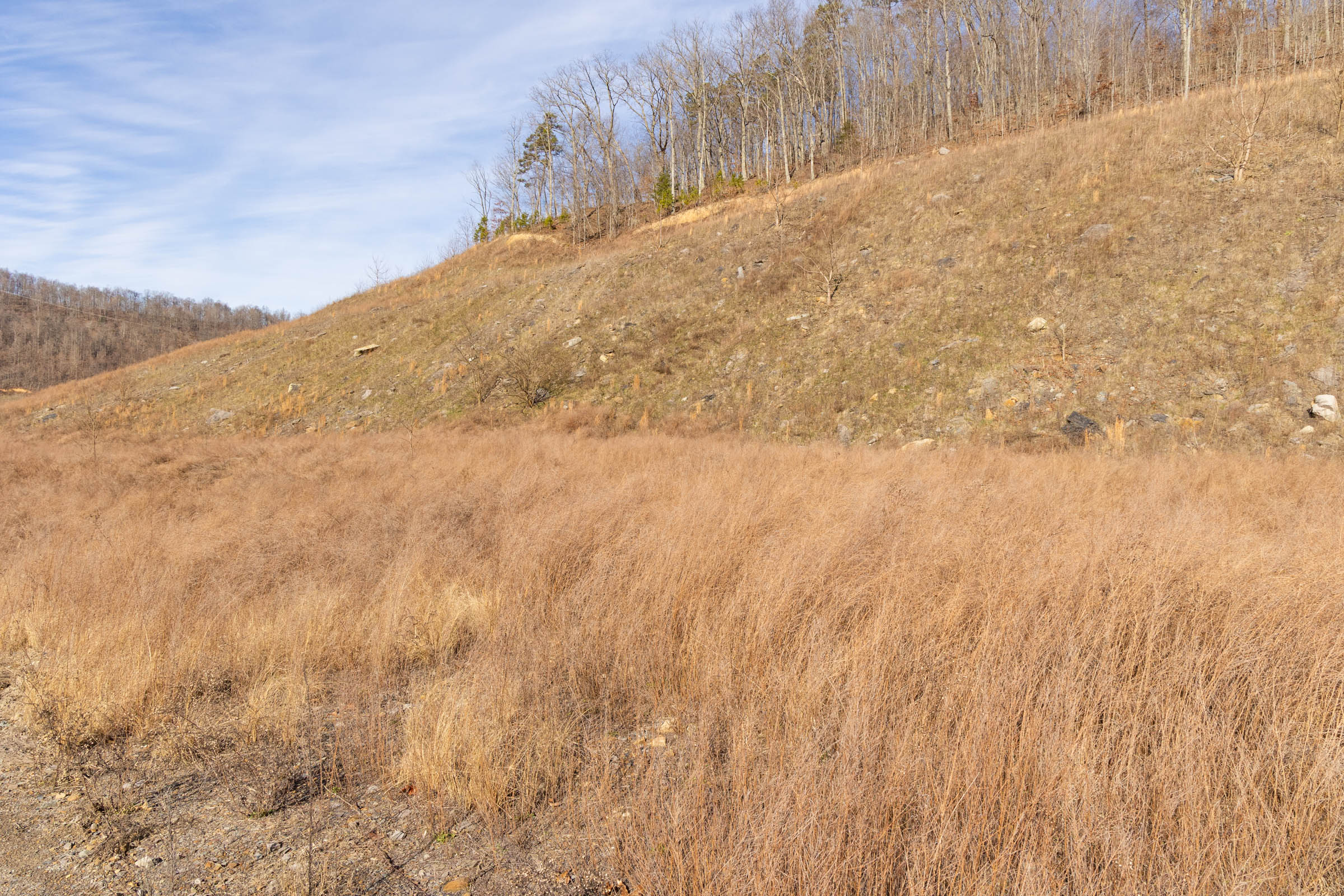 Tract 16 at Jade Pass in Whitley County, Kentucky