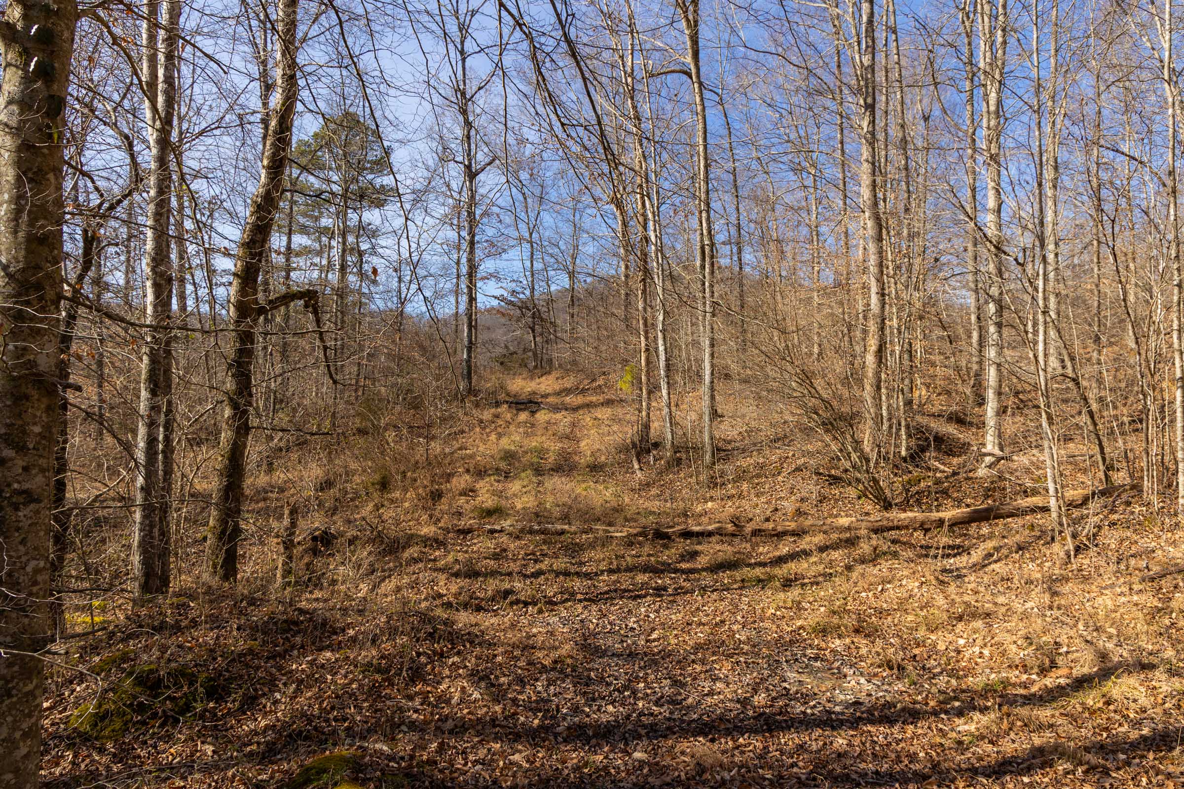 Tract 23 at Jade Pass in Whitley County, Kentucky