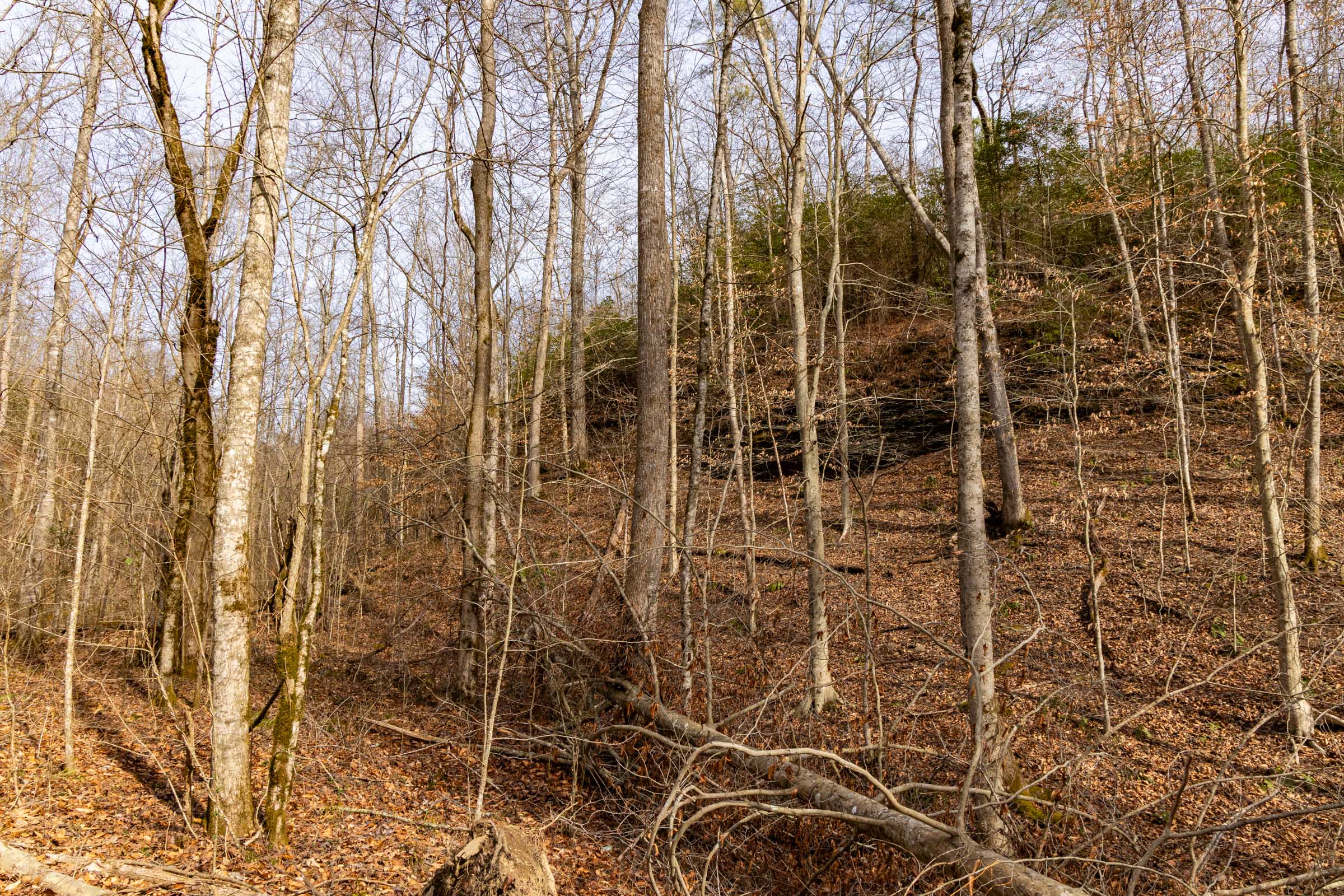 Tract 27 at Jade Pass in Whitley County, Kentucky