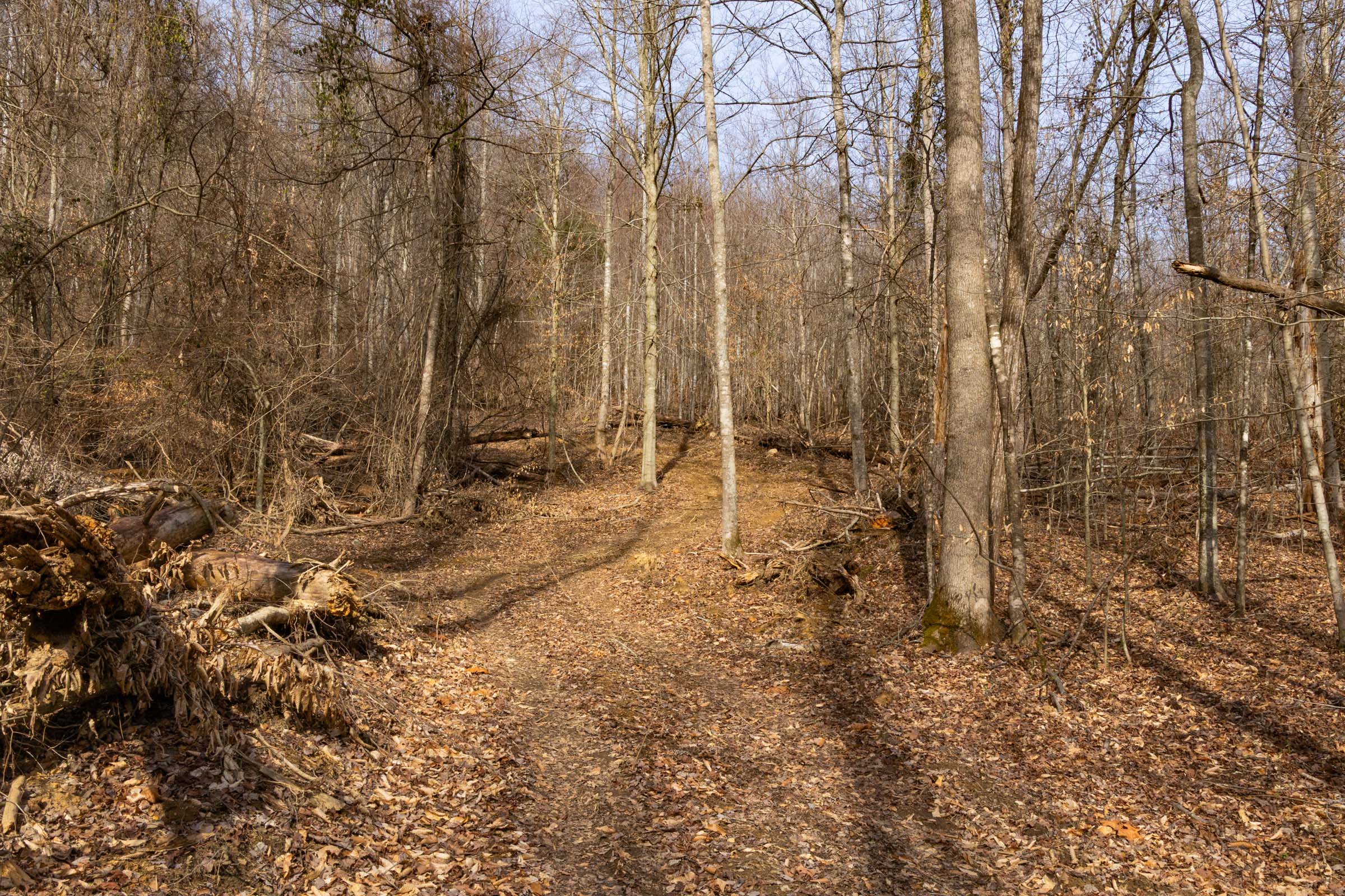 Tract 28 at Jade Pass in Whitley County, Kentucky