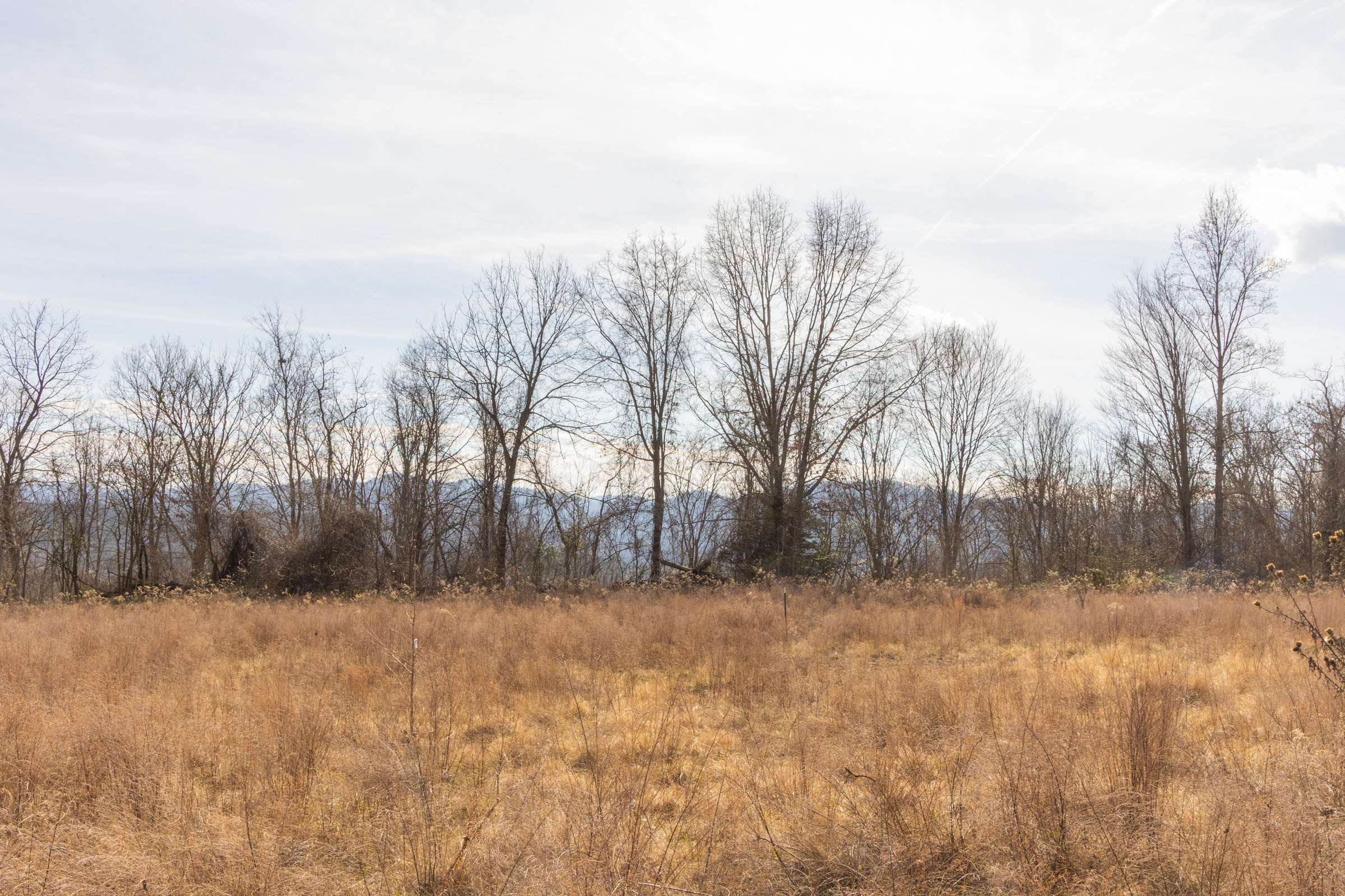 Tract 29 at Jade Pass in Whitley County, Kentucky
