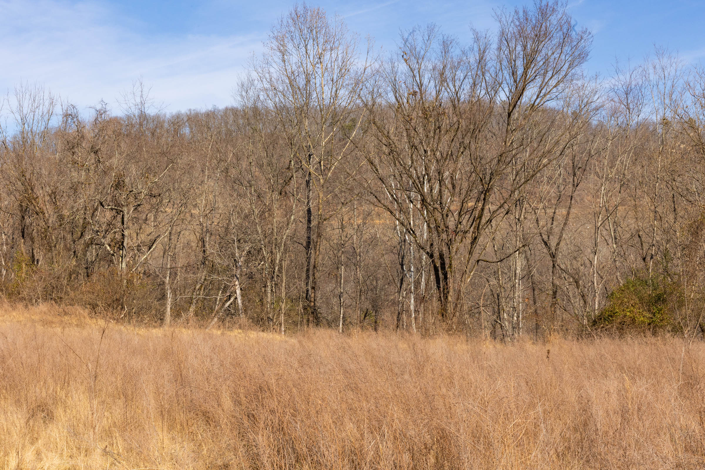 Tract 30 at Jade Pass in Whitley County, Kentucky