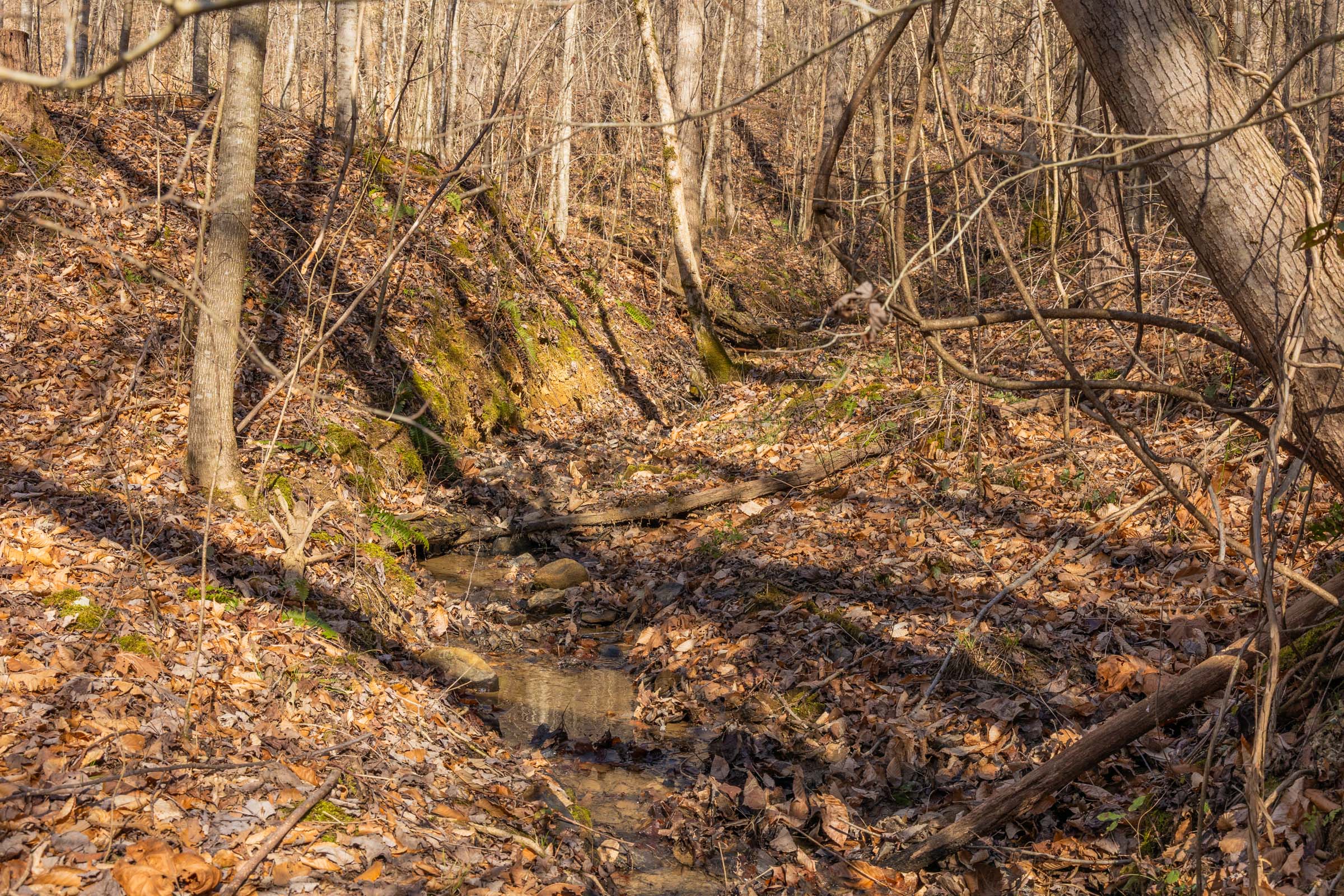 Tract 31 at Jade Pass in Whitley County, Kentucky