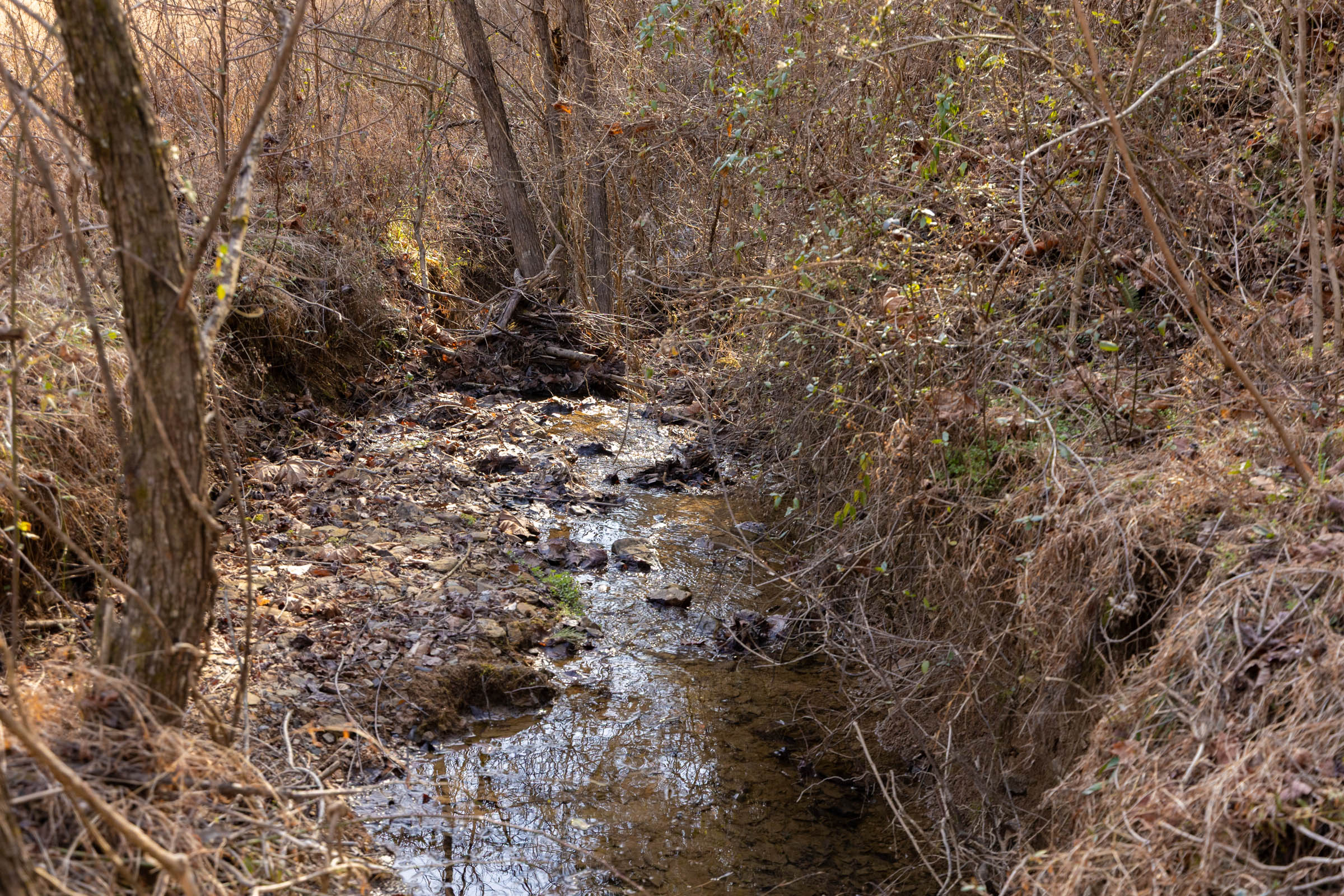 Tract 34 at Jade Pass in Whitley County, Kentucky