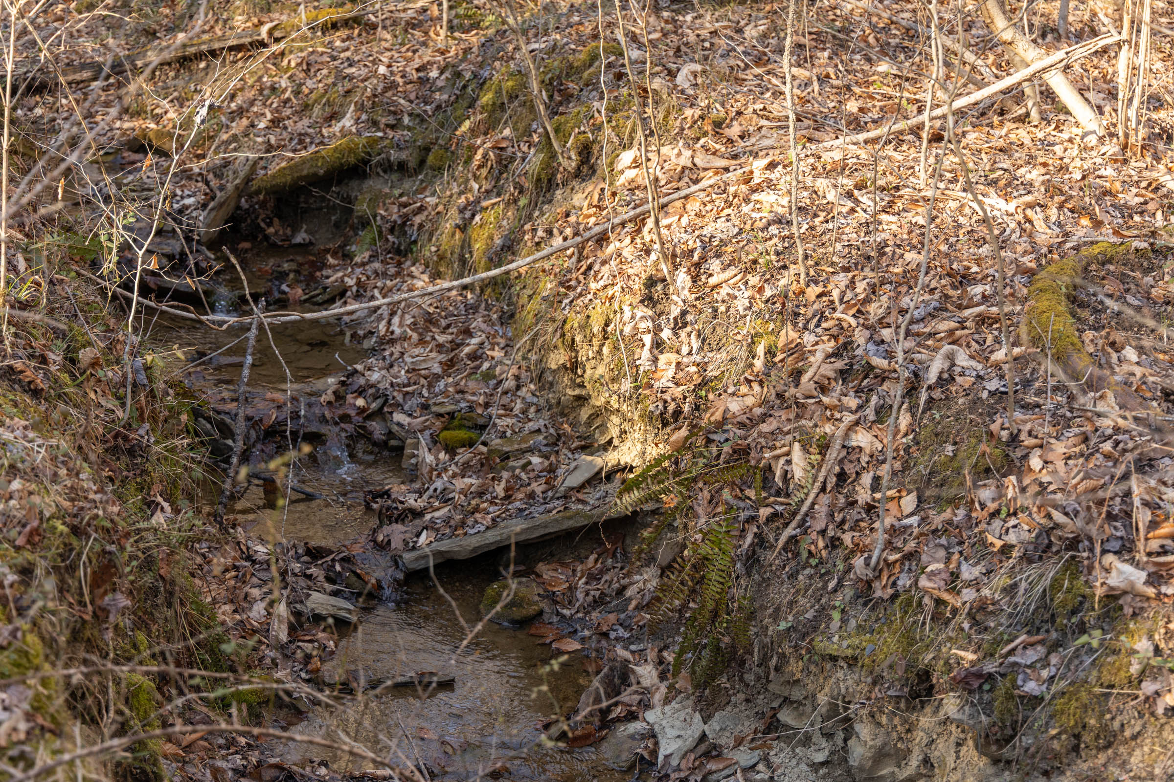 Tract 35 at Jade Pass in Whitley County, Kentucky