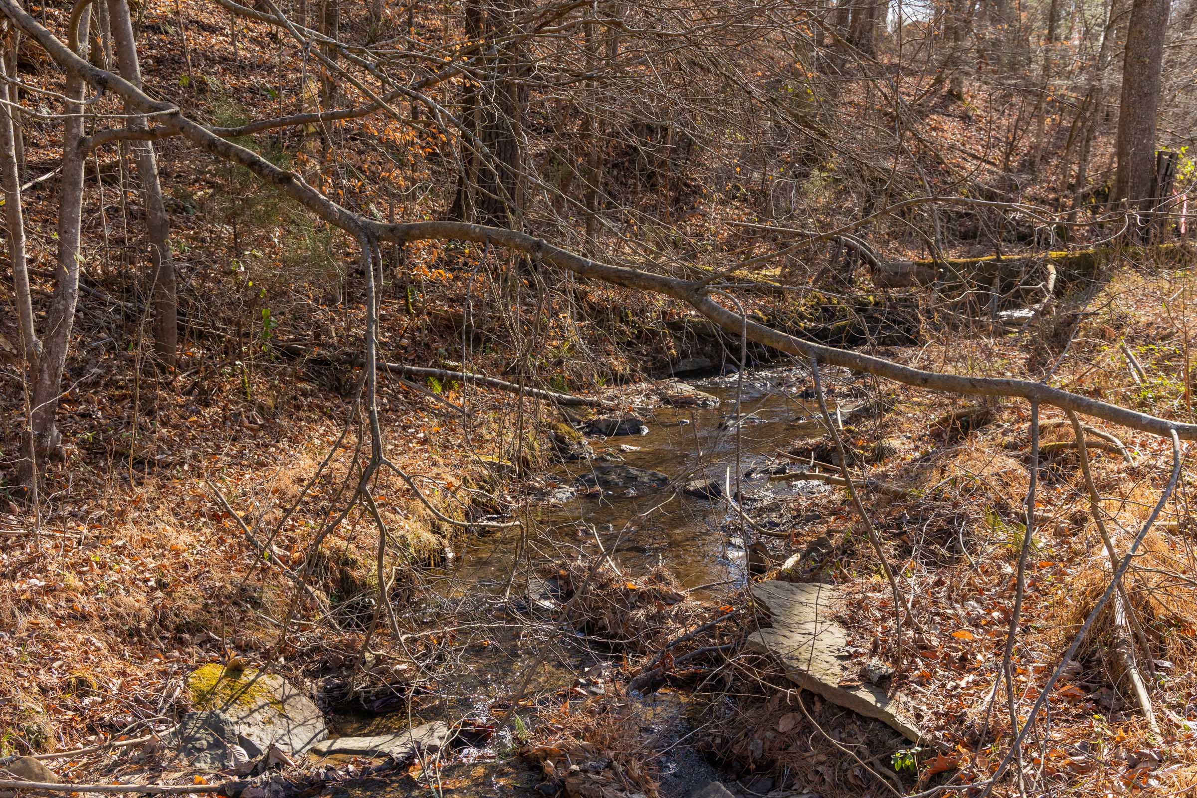 Tract 37 at Jade Pass in Whitley County, Kentucky