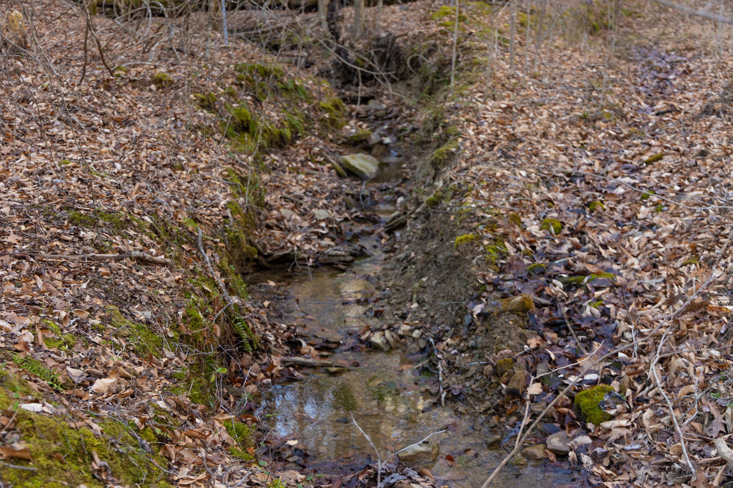 Tract 39 at Jade Pass in Whitley County, Kentucky