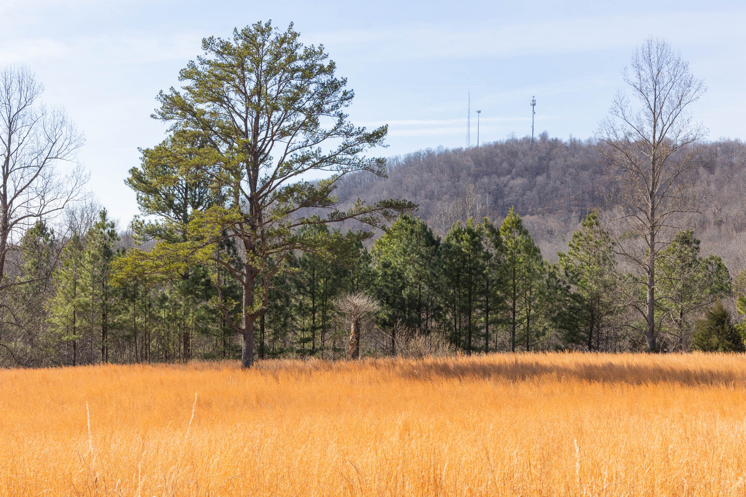 Tract 41 at Jade Pass in Whitley County, Kentucky