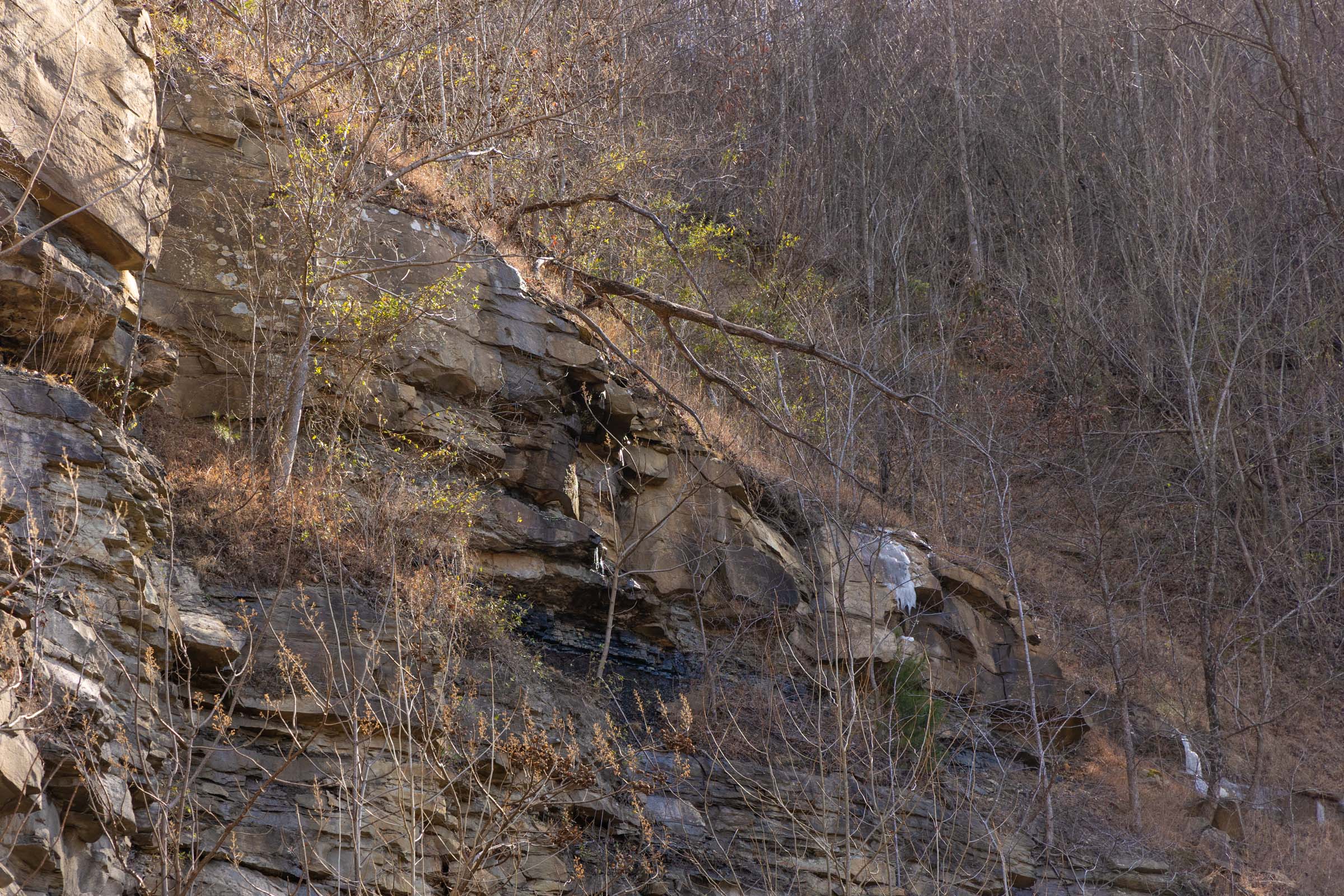 Tract 43 at Jade Pass in Whitley County, Kentucky