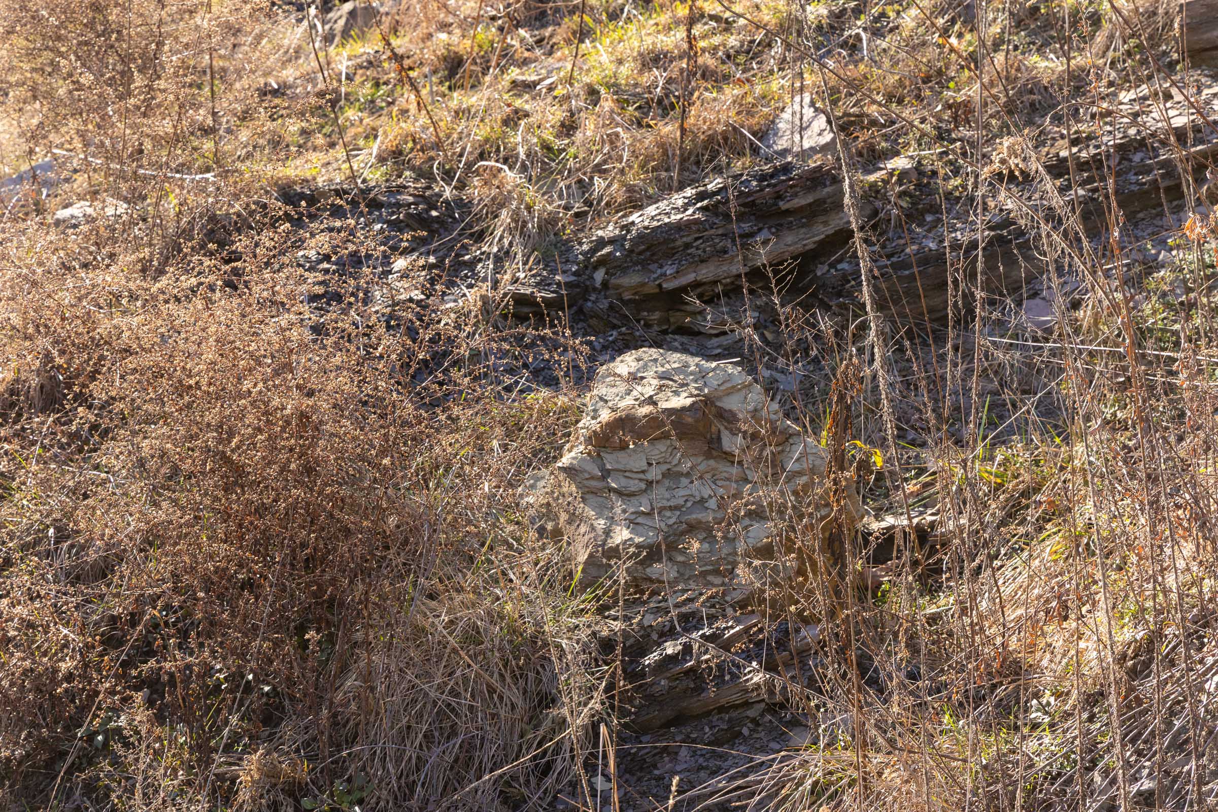 Tract 6 at Jade Pass in Whitley County, Kentucky