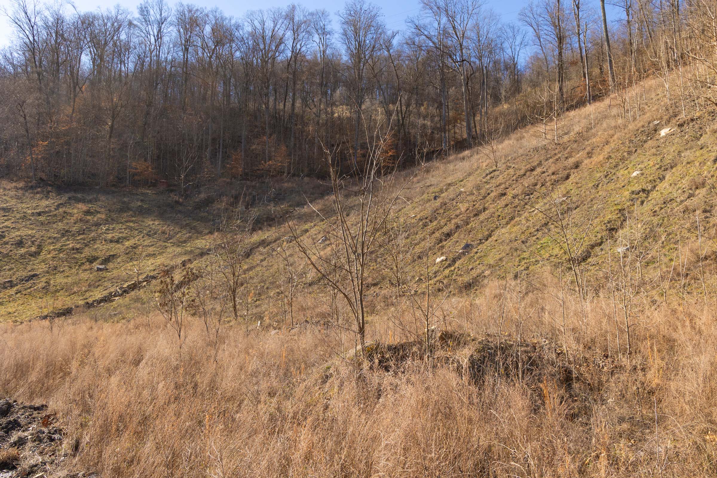 Tract 8 at Jade Pass in Whitley County, Kentucky