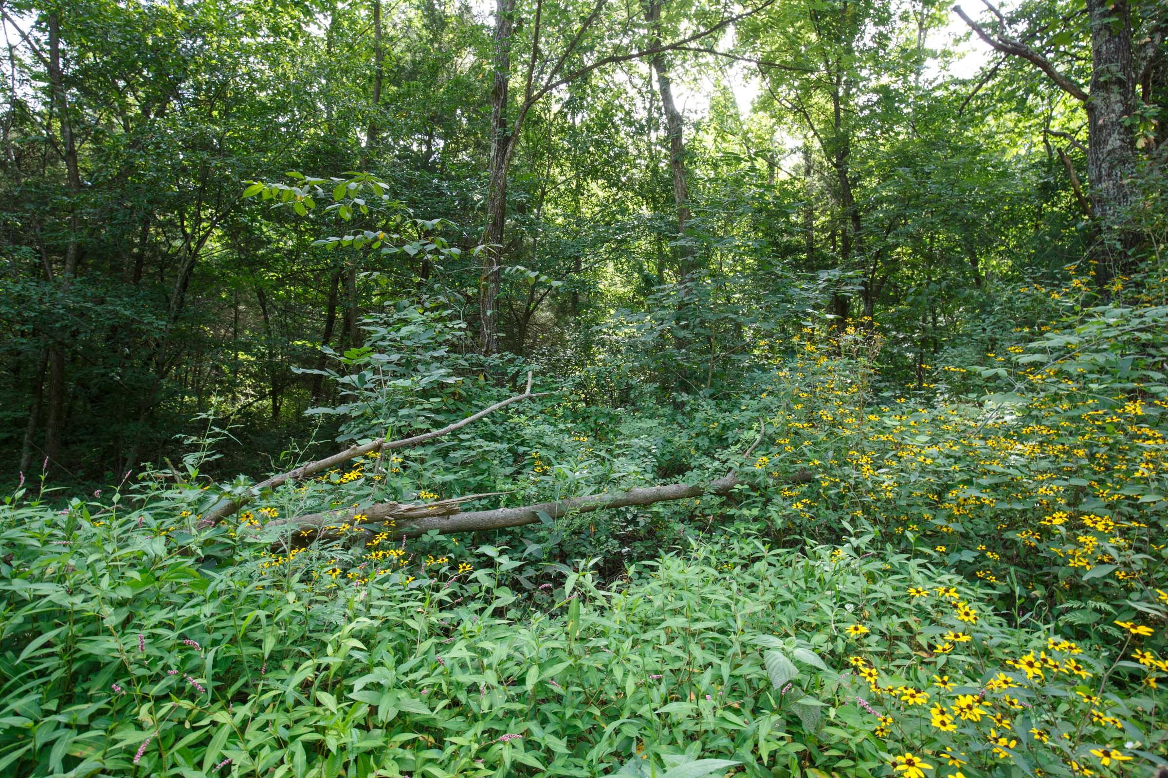 Tract 74 at Springlake in Miller County, Missouri
